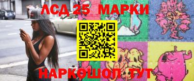 гашик Будённовск