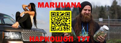 гашик Будённовск