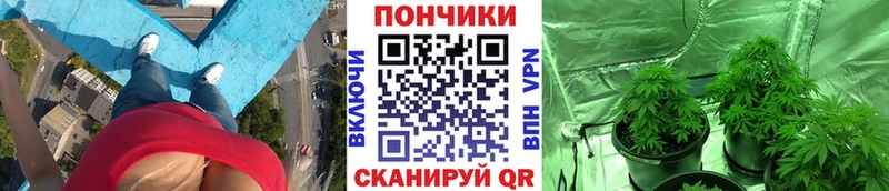 Канабис OG Kush Раменское